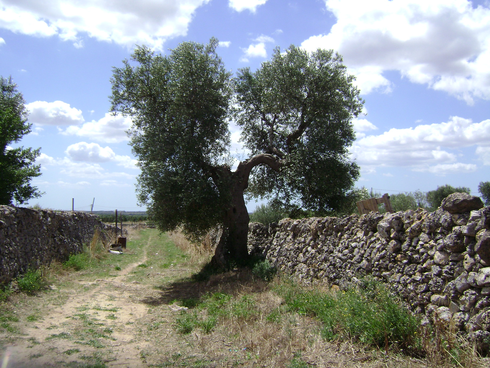 CRISPIANO (TA) - Masseria Valente autogestita